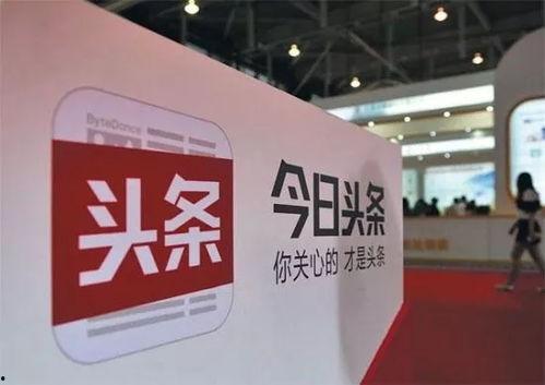今日头条四大爆料是什么,揭秘网络热点背后的真相  第3张