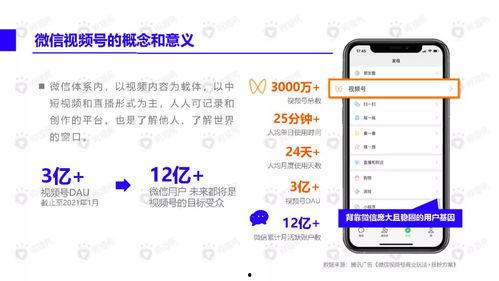 热联爆料视频最新下载免费,最新下载免费大揭秘！  第2张